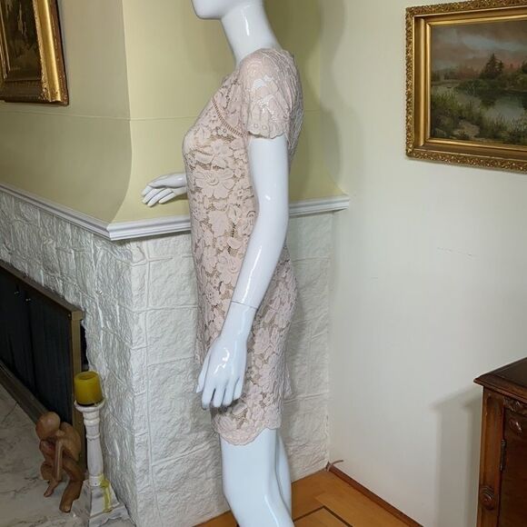 Vince Camuto Ballerina Pink Lace Sheath Dress - Picture 5 of 14